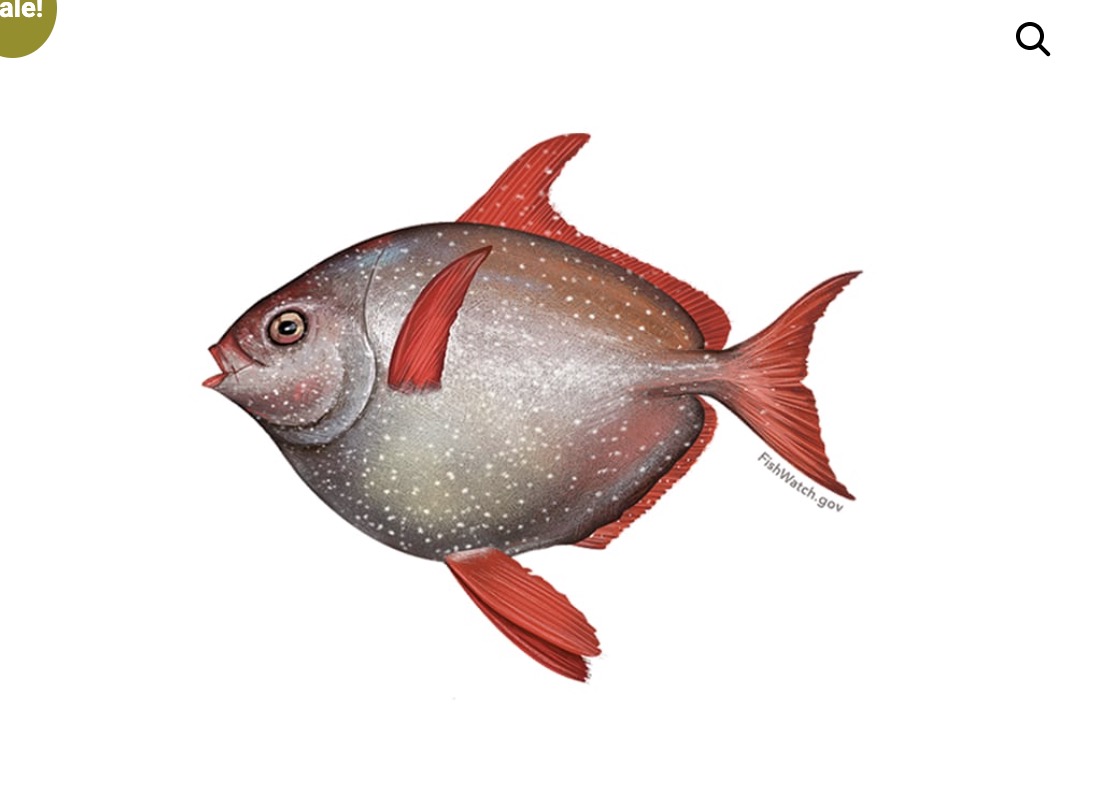 test opah thumbnail 2